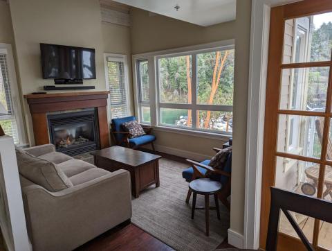 Living room and fireplace