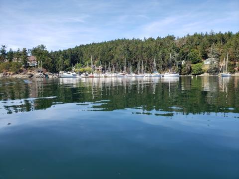 Otter Bay Marina is next door a few steps away